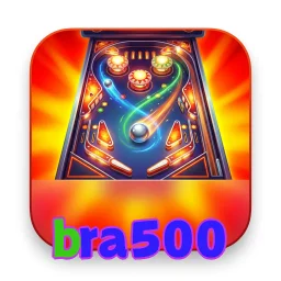 bra500